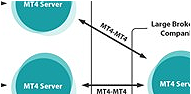 Complex Business Model Topology