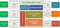 ICE Direct Access _3